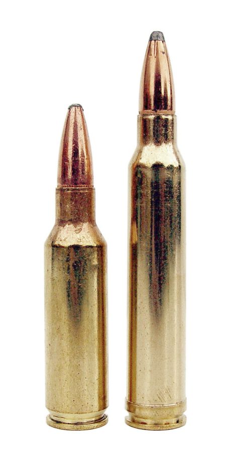 Comparaison entre le 300 RSAUM ( à gauche ) et le 300 Winchester Magnum.